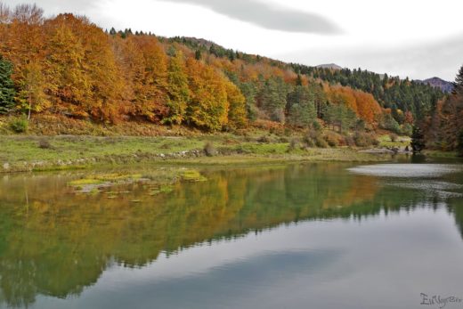 Pantano de Irabia, en la selva de Irati
