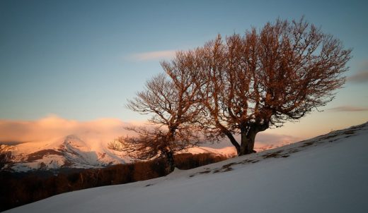 Paisaje del pirineo Navarro