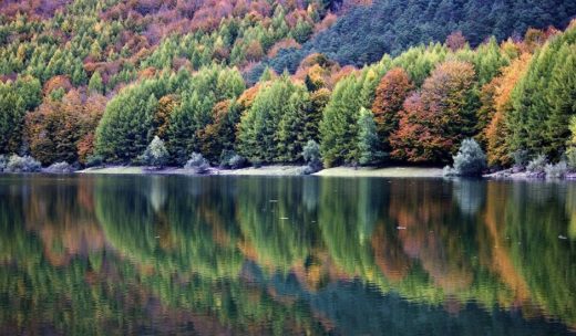 Selva de Irati, pantano de Irabia